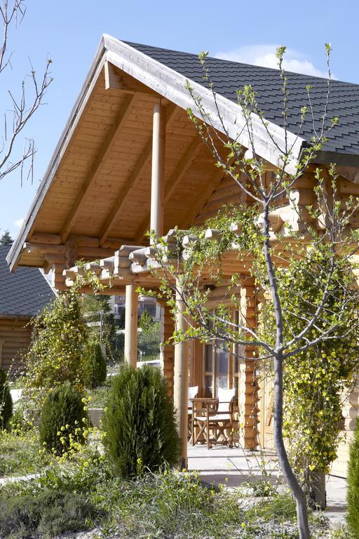 Hyades Mountain Resort Kato Sinikia Trikalon Exterior foto